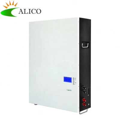 2065 wiederaufladbarer Lithium-Ionen-Akku, 48 V, 100 Ah, externer LiFePO4-Akku